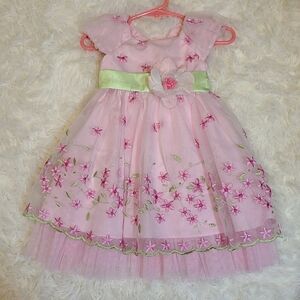 Jona Michelle Pink Green Embroidered Tulle Special Dress  Floral Accents 12 Mo.